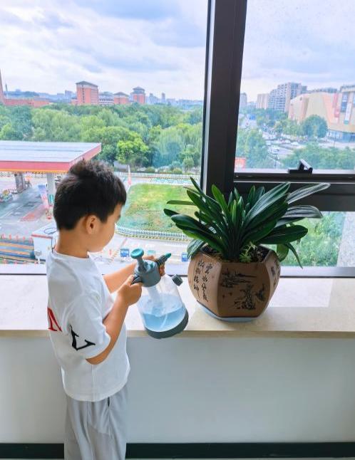 宸宸在给君子兰浇水