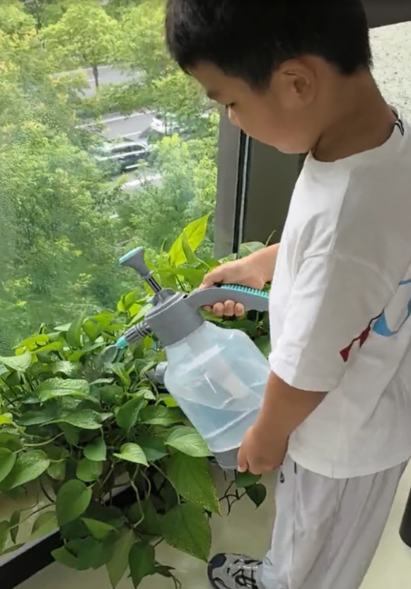宸宸给单位奶奶们和哥哥办公室浇花