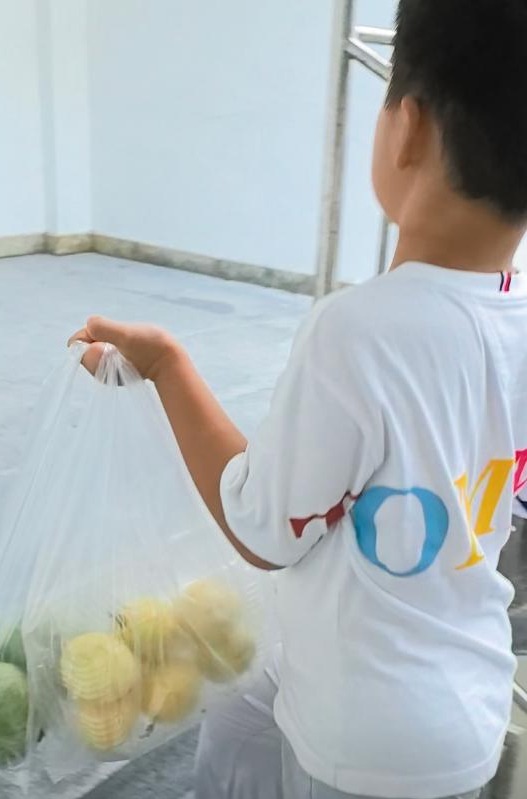 宸宸拎着打包的饭菜蛋糕从食堂回来